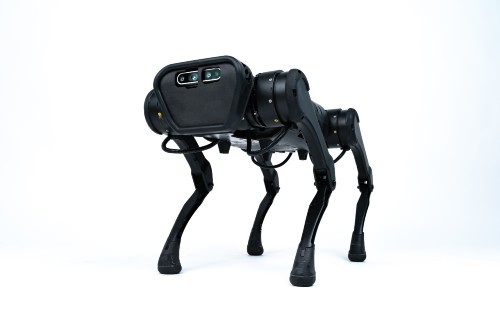 A1 robot dog
